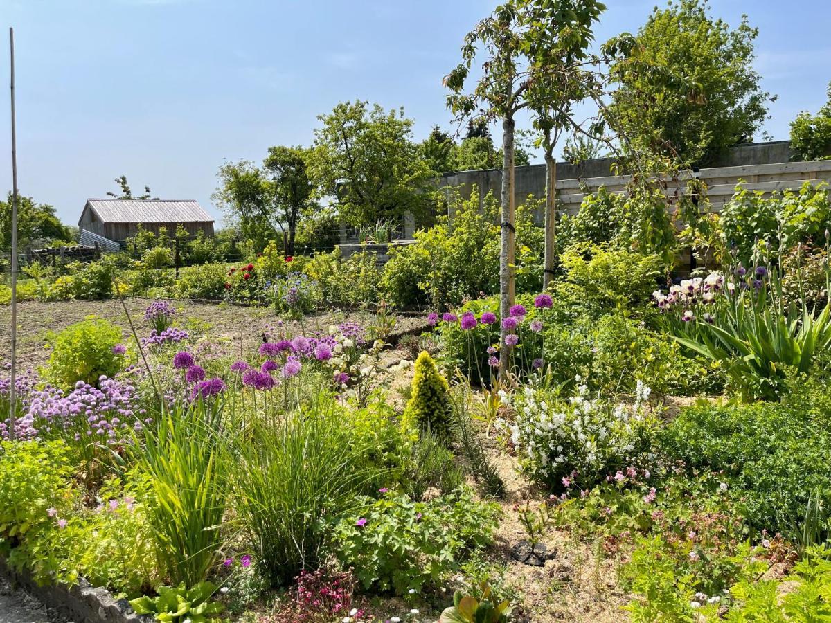 Les Pimprenelles Villa Beauraing Dış mekan fotoğraf